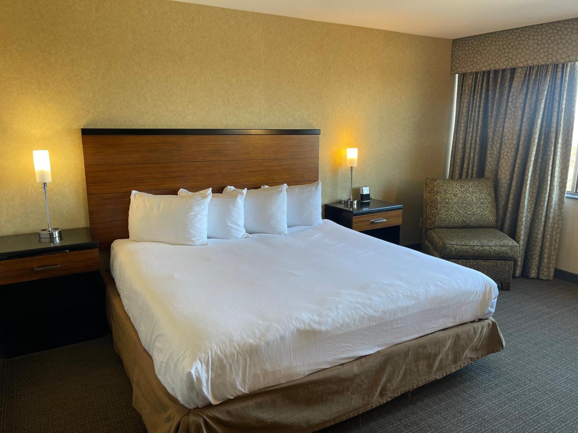 วินด์แฮม การ์เดน ฟิลาเดลเฟีย แอร์พอร์ต Hotel เอสซิงตัน ภายนอก รูปภาพ